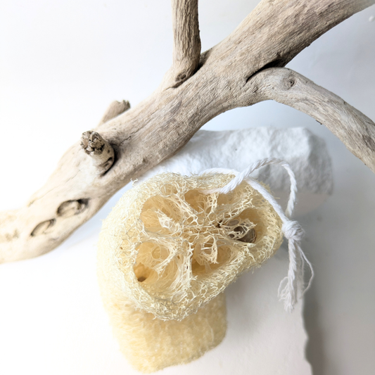 loofah on a string