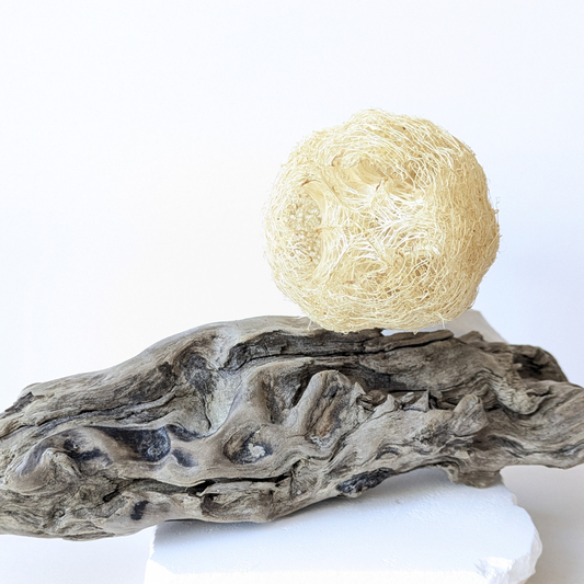 loofah whole