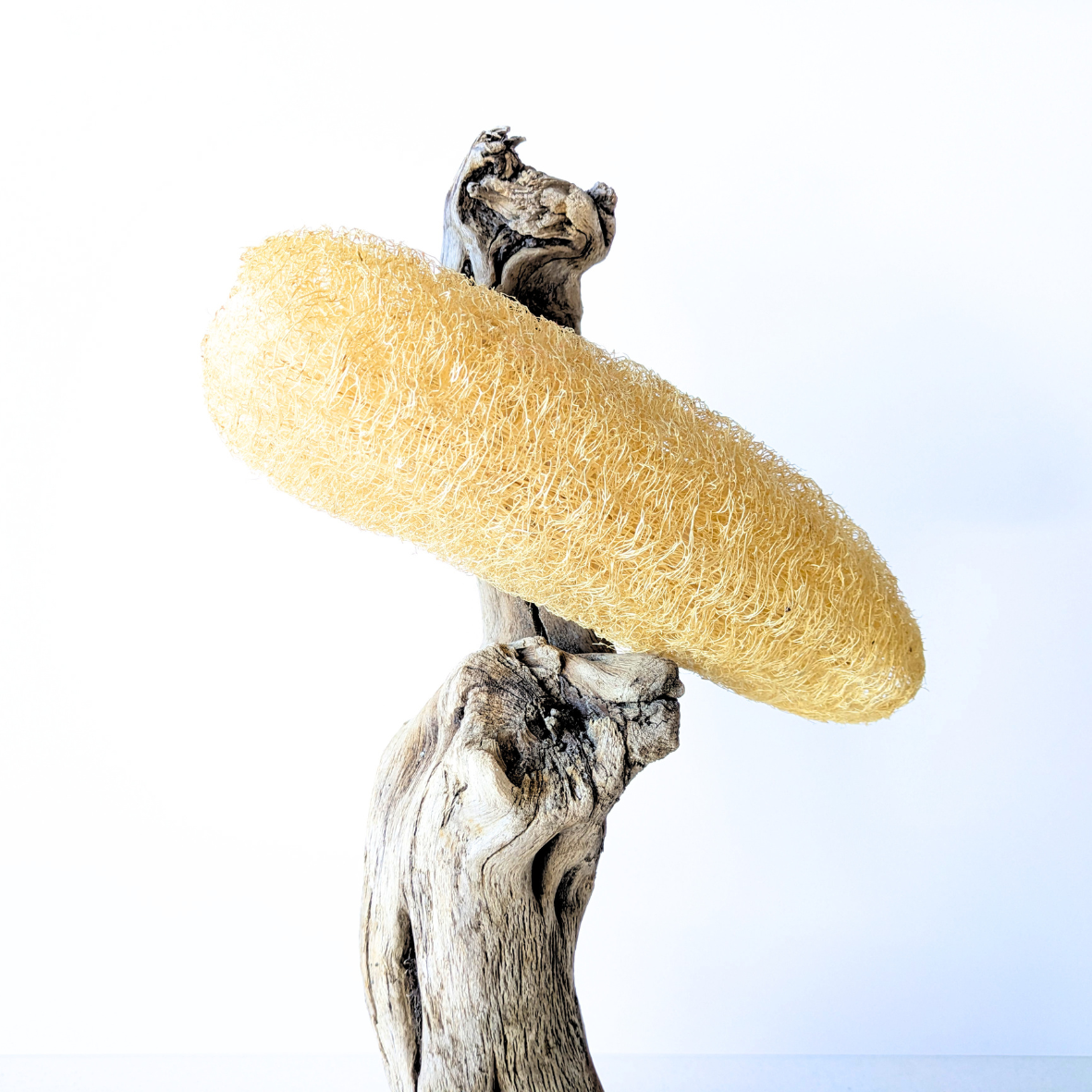loofah whole