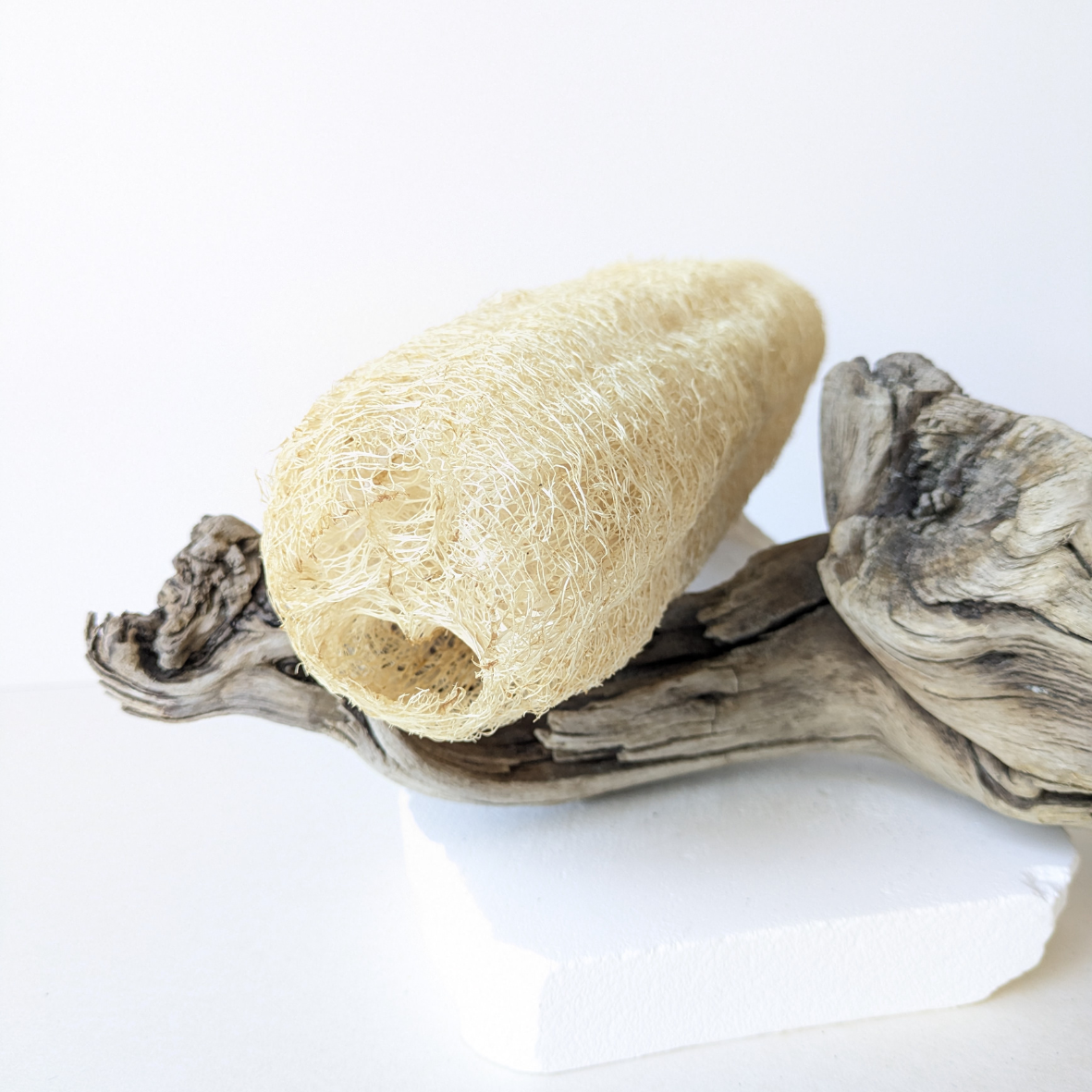 loofah whole